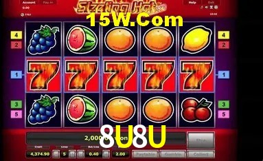 Experiência VIP 8U8U